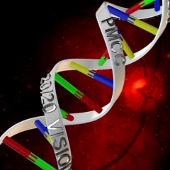 3-D, DNA Loop
